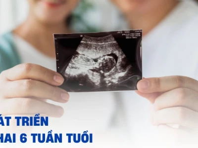 Thai 6 Tuần Tuổi: Sự Phát Triển Vượt Bậc Của Thai Nhi