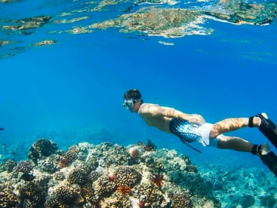Top 10 Bãi Biển Đẹp Nhất Thế Giới: Khám Phá Thiên Đường Nghỉ Dưỡng 2026
