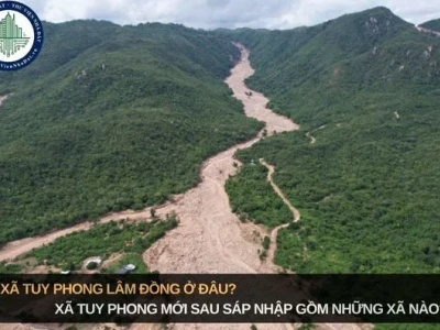 Tuy Phong ở đâu? Khám phá vẻ đẹp hoang sơ và những điểm đến hấp dẫn