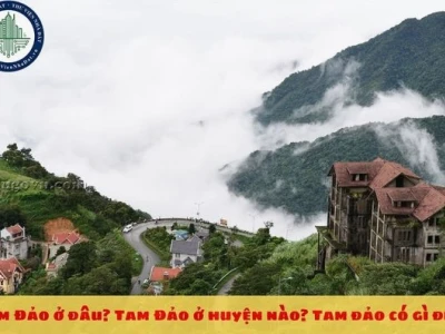 Vẻ đẹp Tam Đảo: Khám phá điểm đến lý tưởng gần Hà Nội
