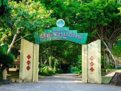 Vườn Quốc Gia Cúc Phương ở đâu? Khám phá vẻ đẹp thiên nhiên kỳ vĩ
